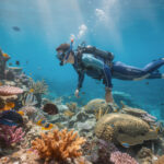 Subea by decathlon plongee snorkeling apnée chasse sous marine découvrez subea by decathlon, votre expert en plongée, snorkeling, apnée et chasse sous-marine. équipez-vous pour explorer les fonds marins en toute sécurité et avec confort.